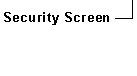 check security